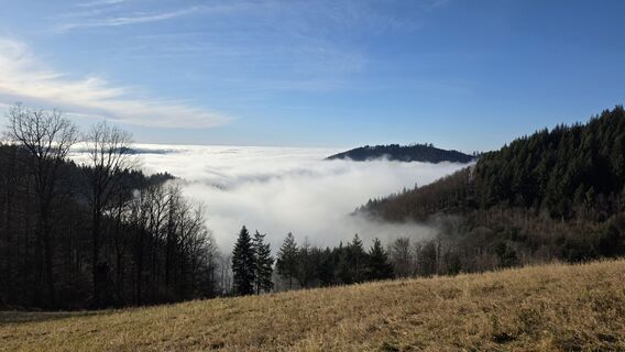 Fotografia z W B MA na trase