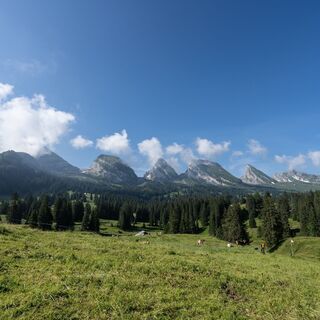Hochebene Alp Sellamatt