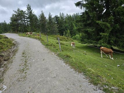 Fotografie de la AlpenFuchs de-a lungul turului