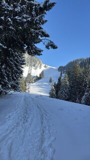 Foto von Alex GreenGiasing entlang der Tour