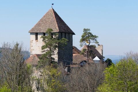 Burg Hohenklingen