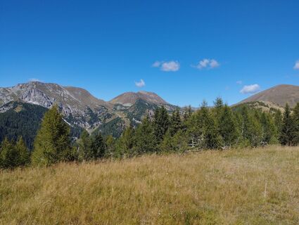 Foto von Iris Köstinger entlang der Tour