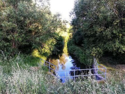 Von Westen kommend fließt die Queich ...