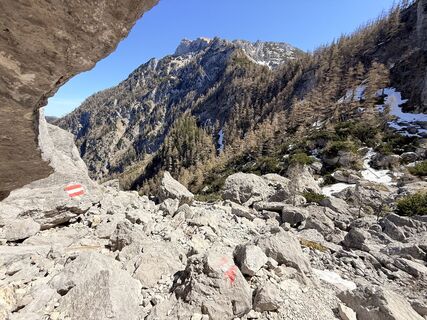 Foto von Natur_erleben_dg entlang der Tour