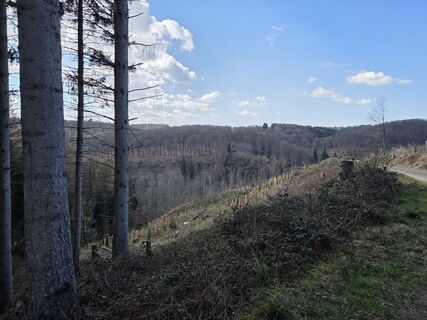 Zdjęcie z Silke S. wzdłuż trasy