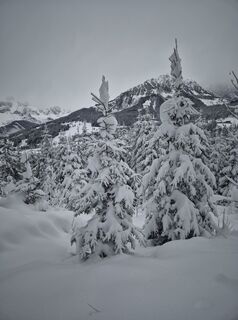 Fotografija s spletne strani Eva Steffner na poti