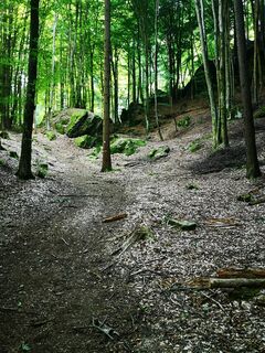 Foto von roxana62 entlang der Tour