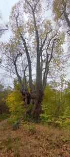 Photo de Christine Fischer le long du parcours