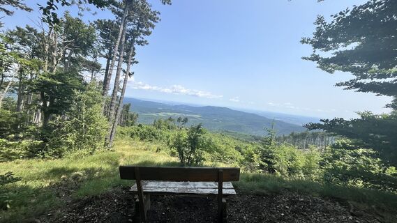 Foto från Interncode under resans gång