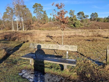 Fotografija s spletne strani nordbergschnecke na poti