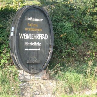 Weinlehrpfad Mandelhöhe