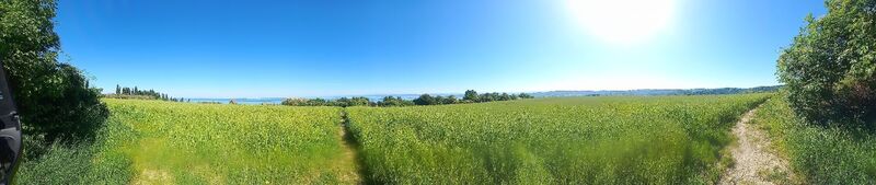 Fotografia z H h na trase