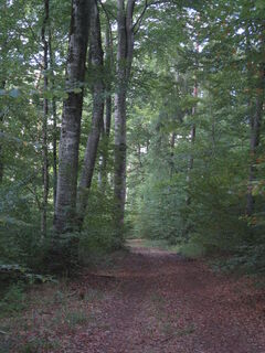 Auf dem Weg zu den Dolinen