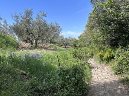 Fotografie z jml na trase