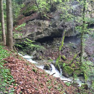 Fluppibach