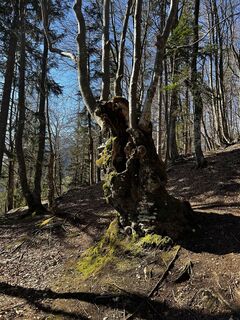 Foto von Enrico Linder entlang der Tour