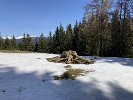 Photo from Hans Richter along the tour