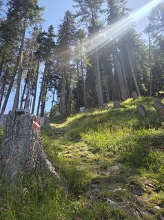Foto von brimo entlang der Tour