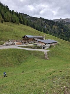 Zdjęcie z Janos Kovacs wzdłuż trasy