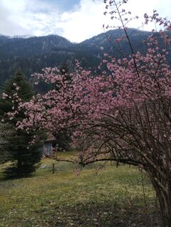 Kuva osoitteesta Orosz-Vass Marta matkan varrella