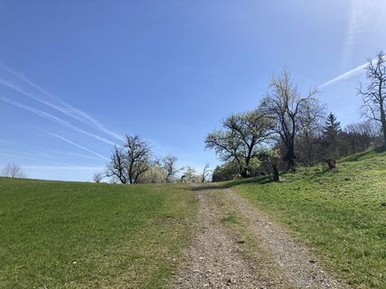 Photo de Moonytiger le long du parcours