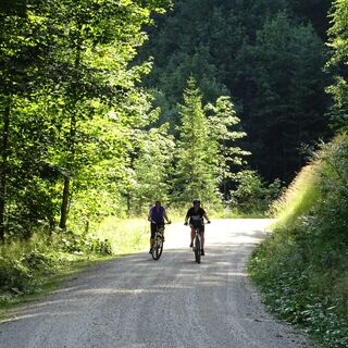 MTB Tour auf die Litzlalm / Gerhardstein