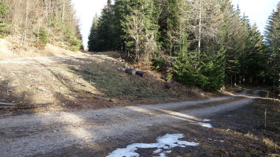 links geradeaus weiter