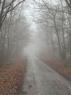 Foto de Falvai Eva Krisztina a lo largo del recorrido