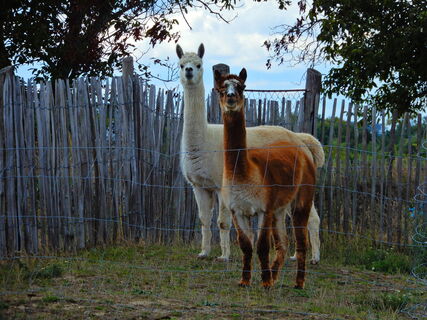 St. Margarethen - Marz/Rohbach