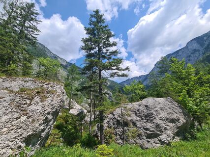 Zdjęcie z uhu321 wzdłuż trasy