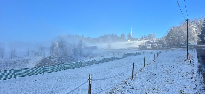 Фото с сайта Thomas Schekira во время экскурсии