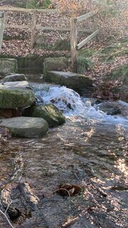 Fotografija s spletne strani outdoor_rue na poti