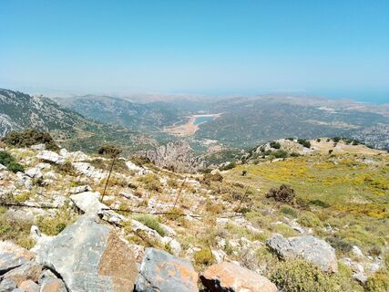 Photo de MopsBiene le long du parcours