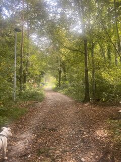 Foto de Barbara Schwaerzler a lo largo del recorrido