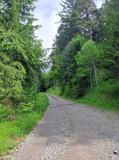 Foto von Greg+Lisa entlang der Tour