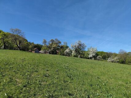 Photo de Poschacher le long du parcours