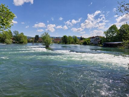 Fotografija s spletne strani sibela na poti