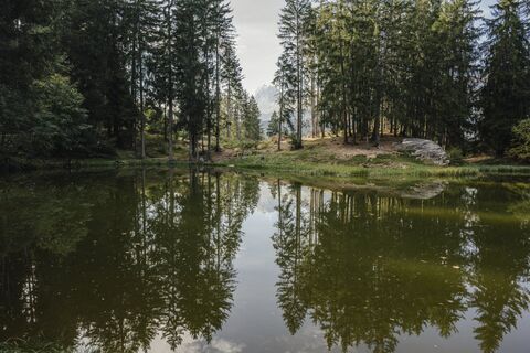 Der Dachlisee liegt idyllisch im Wald von Obersaxen
