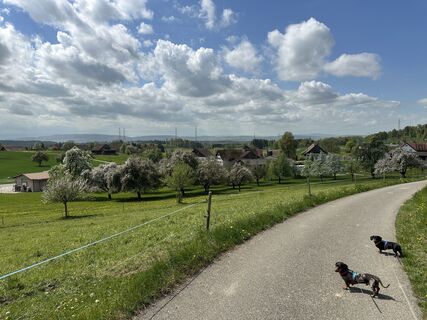 Fotografie z Ursi Kriesi na trase