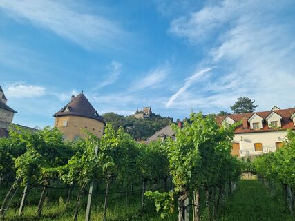 Fotografie de la tigerclawone de-a lungul turului