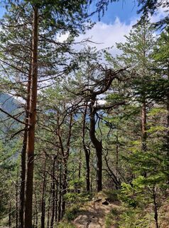 Fotografie de la Anne-Fleur Guitton de-a lungul turului