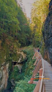 Foto von cacal entlang der Tour