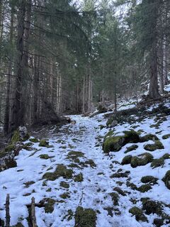 Sankt Koloman_Frunstberg