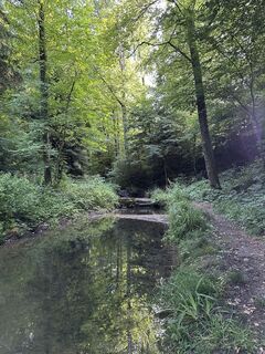 Foto von Cyrill Bischof entlang der Tour