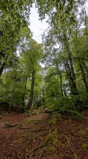 Photo de Richard Schwald le long du parcours