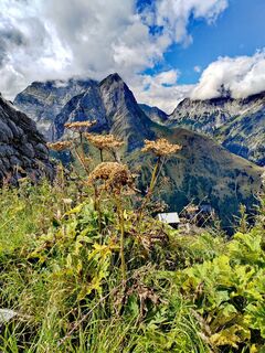 Foto von U Kirschstein entlang der Tour