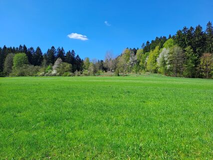 Foto de Wanderbursche66 a lo largo del recorrido