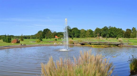 Teiche der Gegend