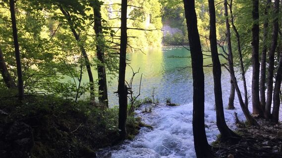 Photo de Lomalinda le long du parcours