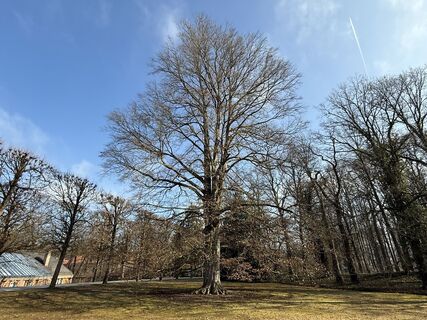 Fotó a Norbert Herbig honlapról a túra során